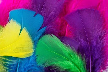 plume arttherapie80