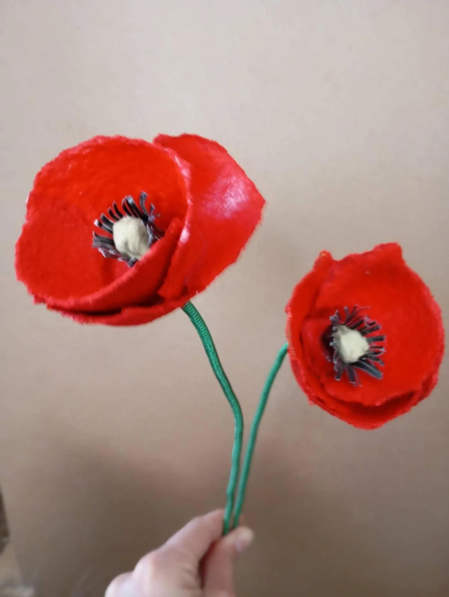 coquelicots boite d'oeufs anilem mélina schoutheer corbie artiste atelier creatif